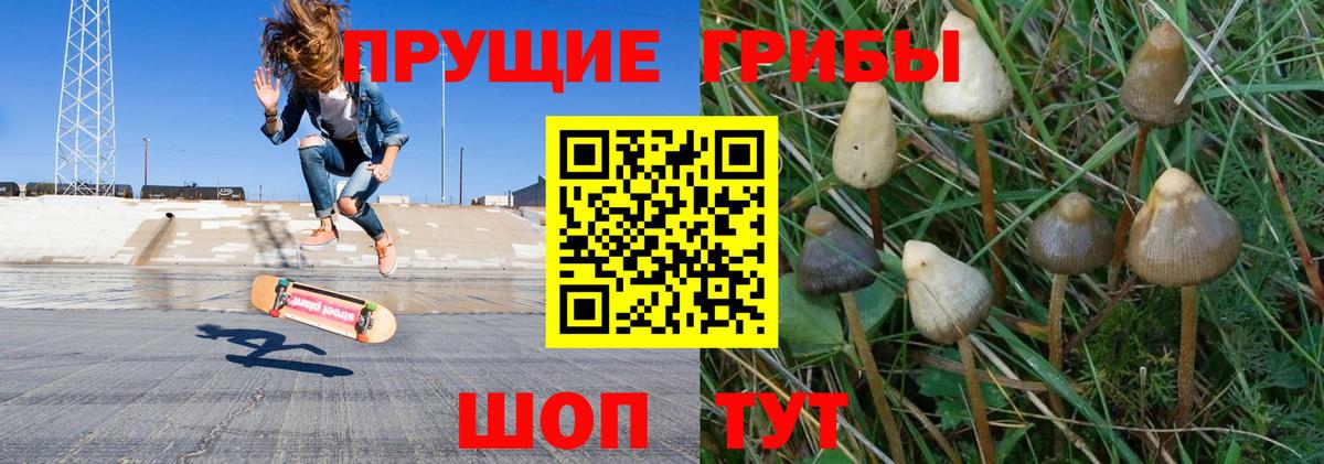Псилоцибиновые грибы мухоморы Юрга